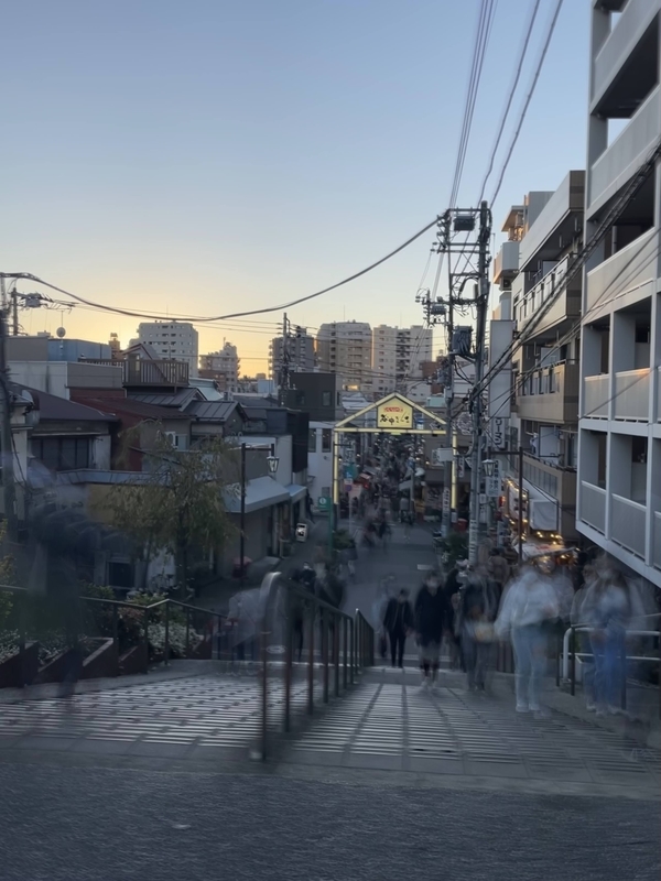 f:id:magoiku:20211109220629j:plain