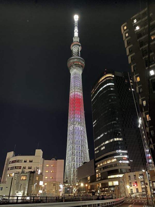 f:id:magoiku:20220206114345j:plain