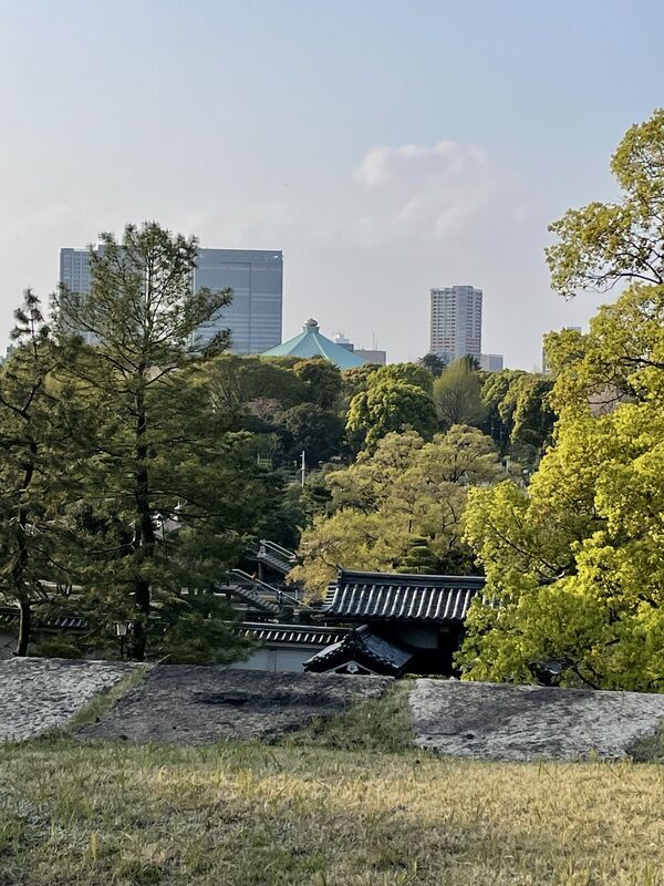 Kokyo Higashi Gyoen Self- Guidebook - メルカリ