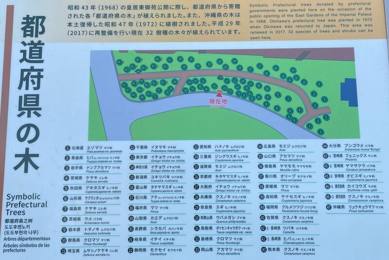 皇居東御苑を英語で説明 Self-Guidebook 英語 皇居 ガイドブック 皇居東御苑】とは？英語で何と？なぜ梅の名所に？見どころは