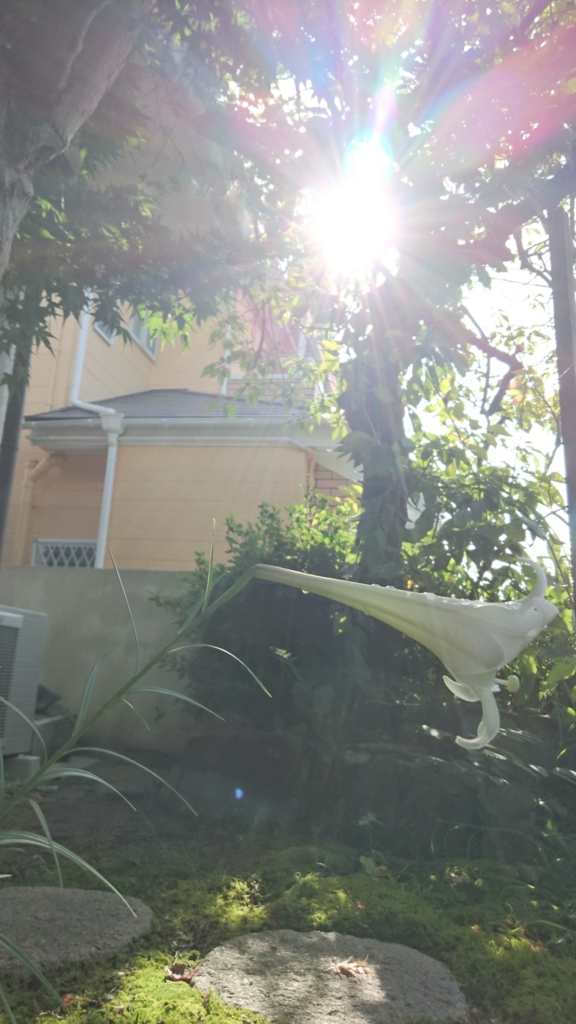 f:id:magokorobelugamariko:20160811213236j:plain f:id:magokorobelugamariko:20160811213236j:plain