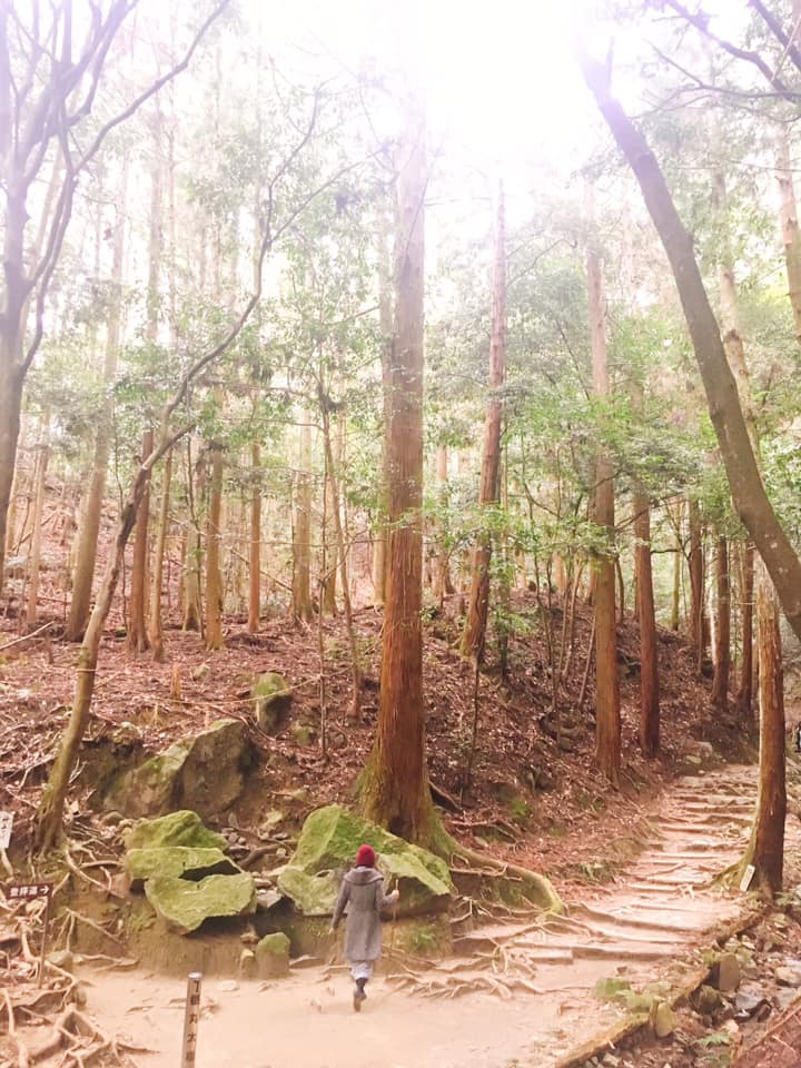 f:id:magokorotherapy:20190326172753j:plain f:id:magokorotherapy:20190326172753j:plain