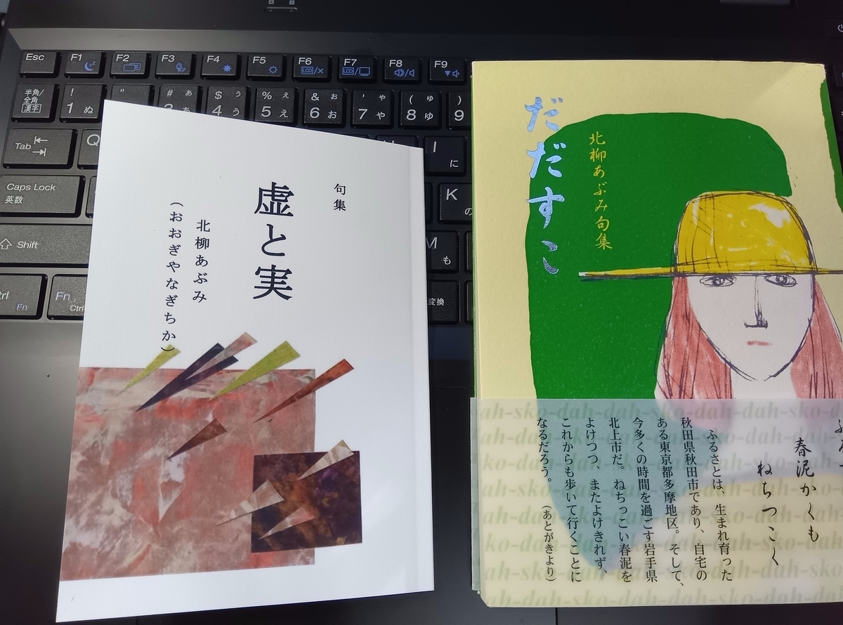 句集『虚と実』（北柳あぶみ）を作りました！！ - おおぎやなぎちか