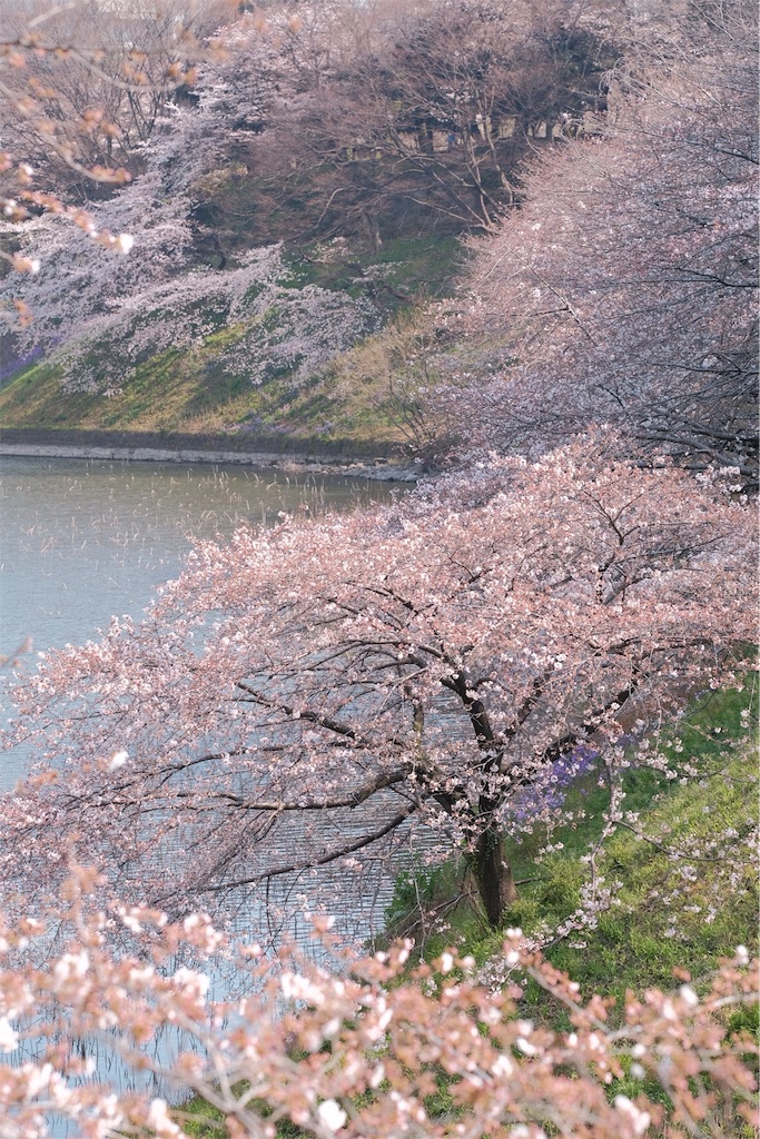 f:id:magspice:20170404021542j:image f:id:magspice:20170404021542j:image