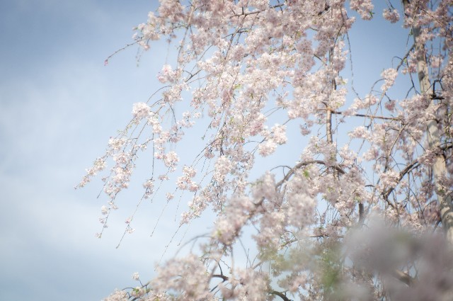 f:id:magspice:20190103232711j:image