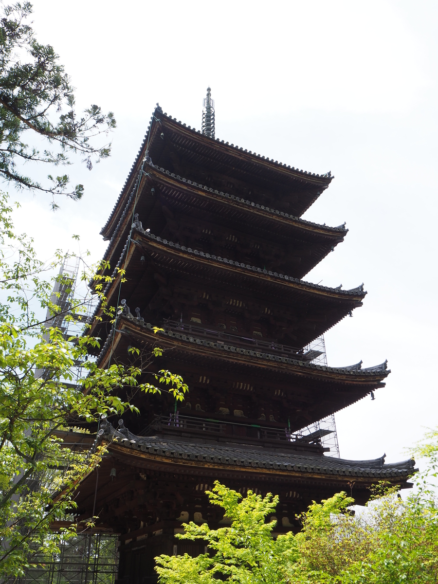 f:id:magu_magu_mogu_mogu:20190521150452j:plain