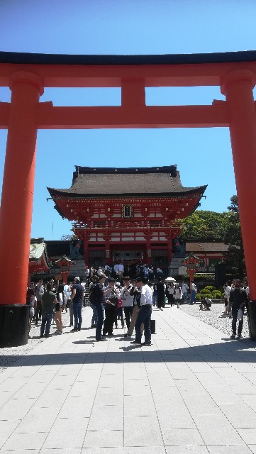 f:id:magu_magu_mogu_mogu:20190604134316j:image f:id:magu_magu_mogu_mogu:20190604134316j:image