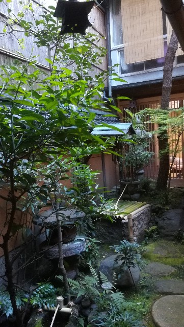 f:id:magu_magu_mogu_mogu:20190604135413j:image f:id:magu_magu_mogu_mogu:20190604135413j:image