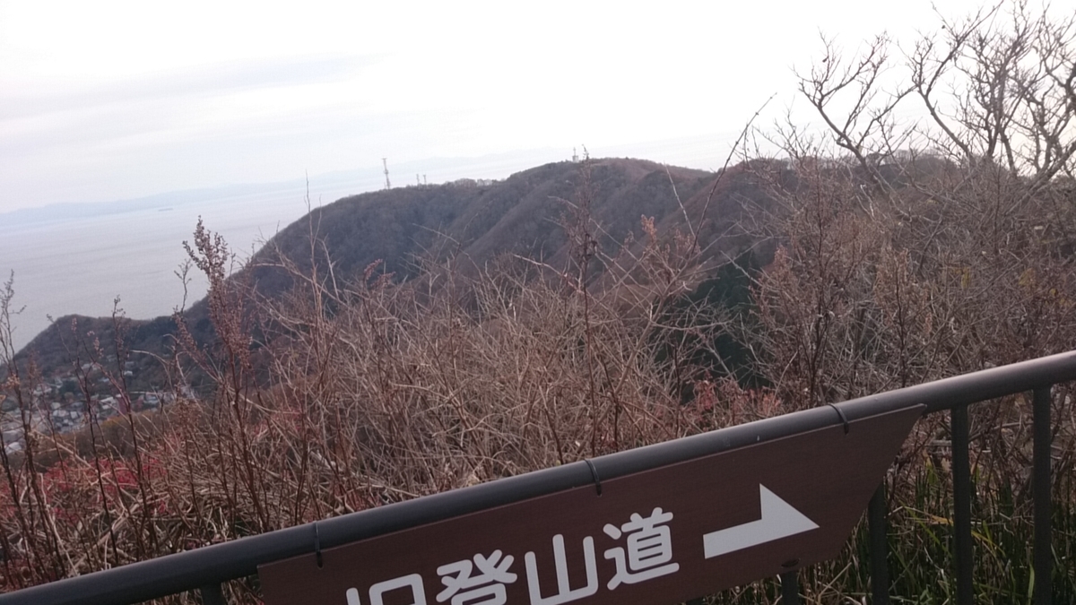 f:id:magudon67:20200317233813j:plain