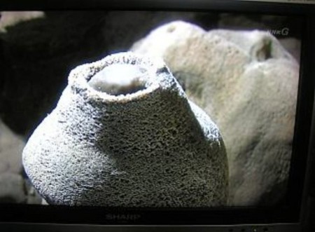 f:id:magurit:20090712164953j:image f:id:magurit:20090712164953j:image