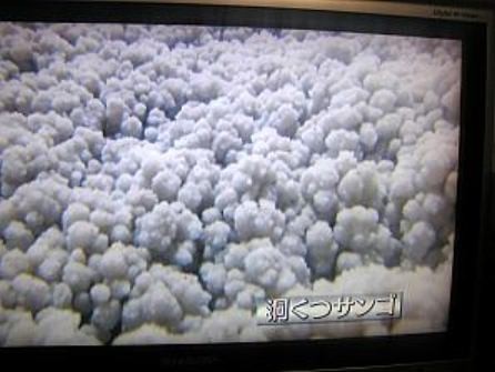 f:id:magurit:20090712165907j:image f:id:magurit:20090712165907j:image
