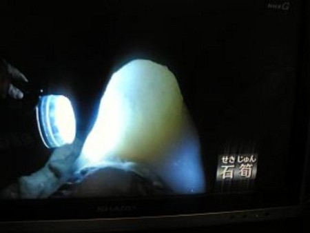 f:id:magurit:20090712171110j:image f:id:magurit:20090712171110j:image