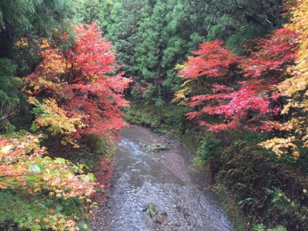 f:id:magurit:20151119123746j:image f:id:magurit:20151119123746j:image