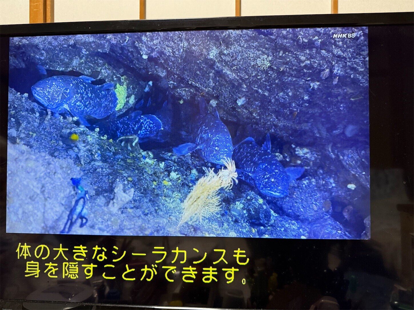 f:id:magurit:20260824204811j:image