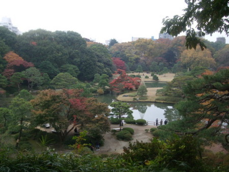 藤代峠より＠六義園