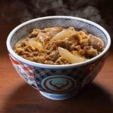 【送料無料】吉野家　牛丼の具　冷凍　135ｇ×10個入り