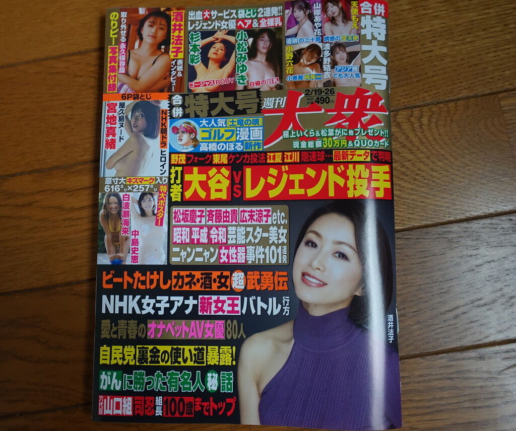 関根恵子　ヘアーヌード 
