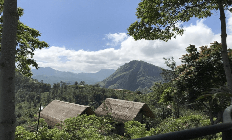 スリランカの森と小屋の写真