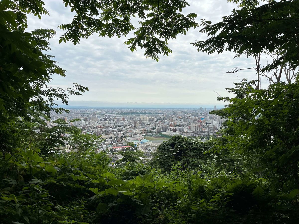三角山 木々から見える札幌の街
