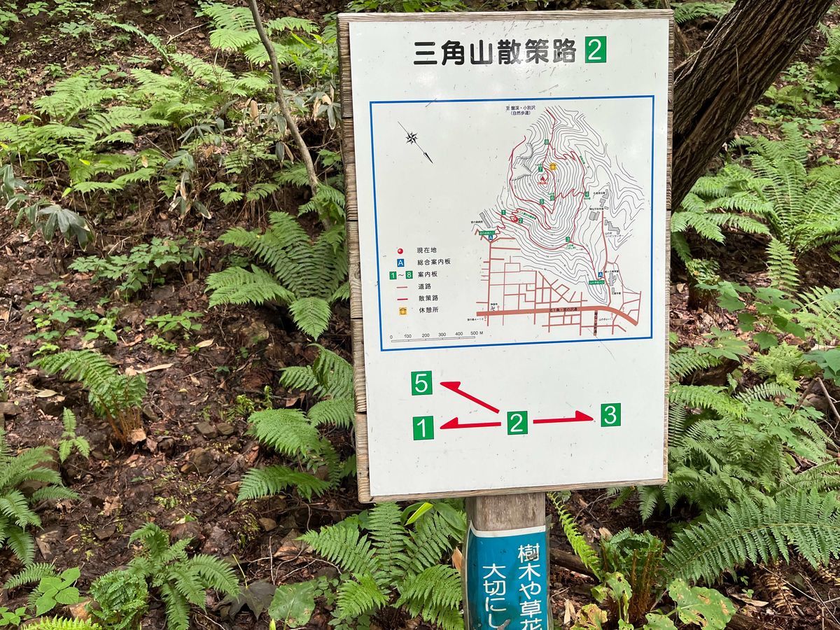  三角山 散策路 2