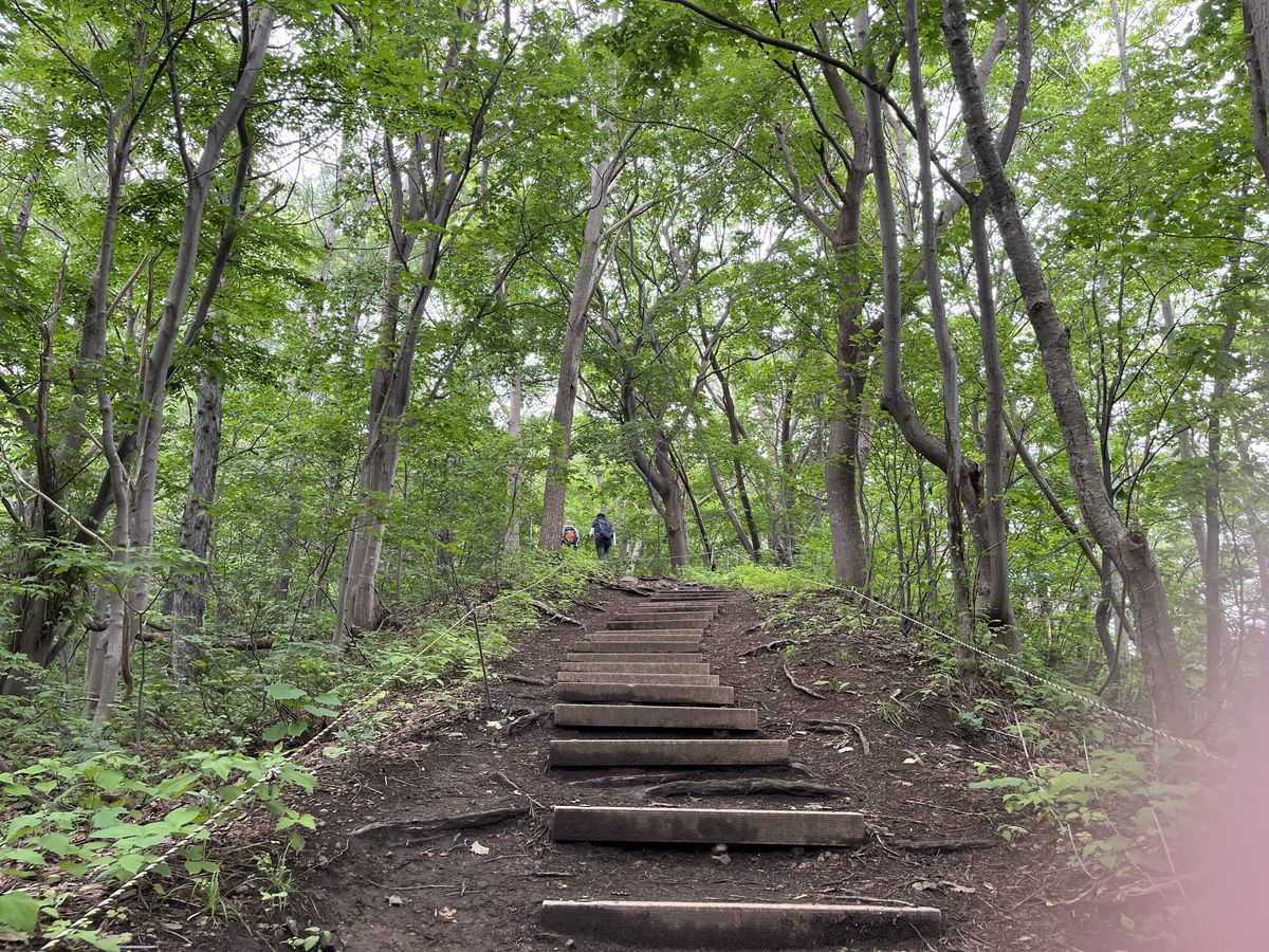 登山道 1 