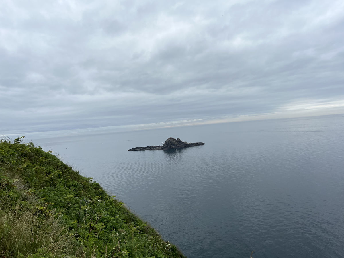 日和山灯台から見えるトド岩