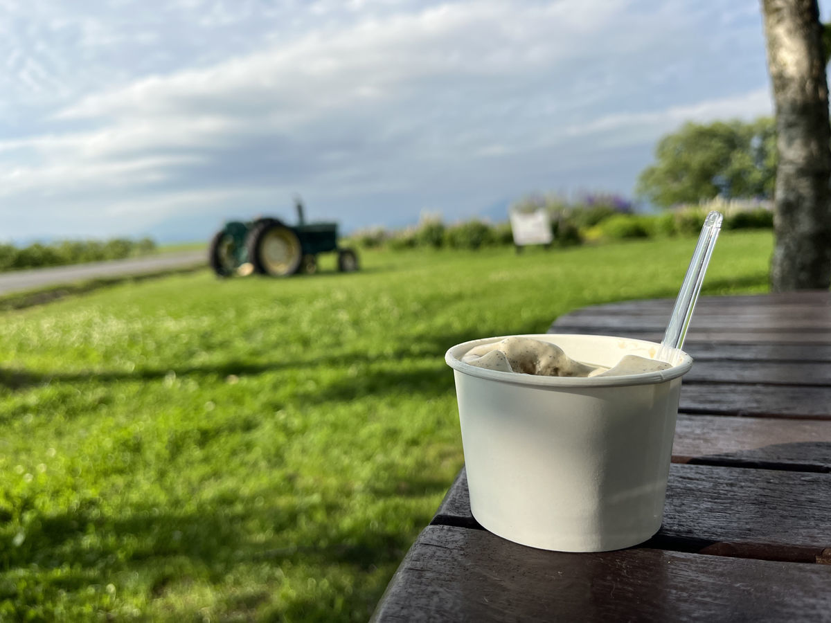 レイクヒル・ファームの草原をみながら食べるジェラート