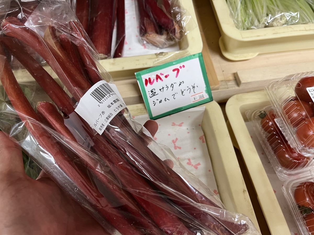 道の駅 とうや湖 野菜 ルバーブ 赤い木茎のような