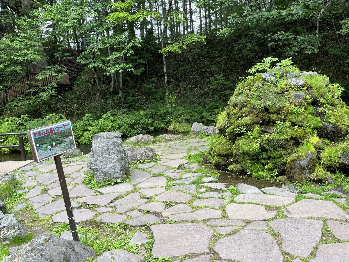 ふきだし公園 水のふれあいコーナー