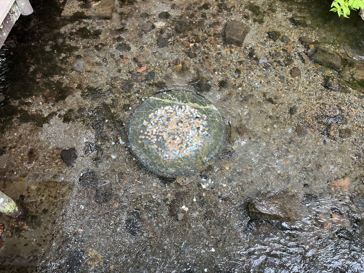 ふきだし公園 水の中にお賽銭入れ