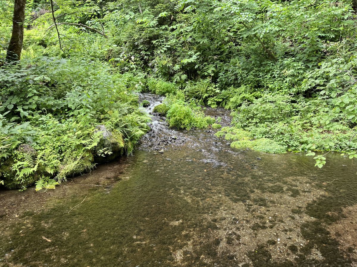 ふきだし公園 川 1