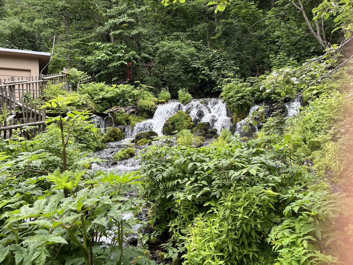 ふきだし公園 川 2