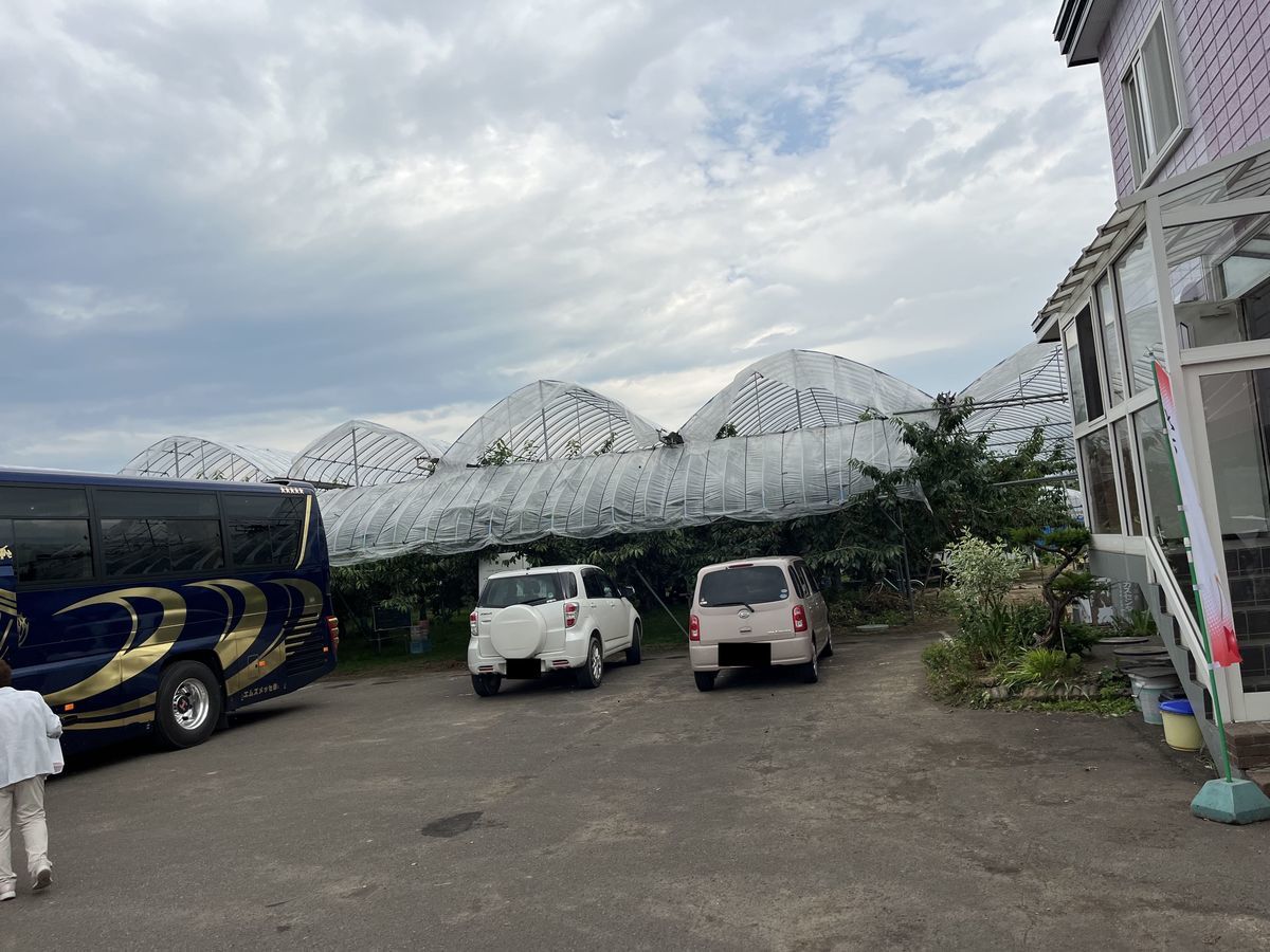 笠井園 さくらんぼ狩り 入口