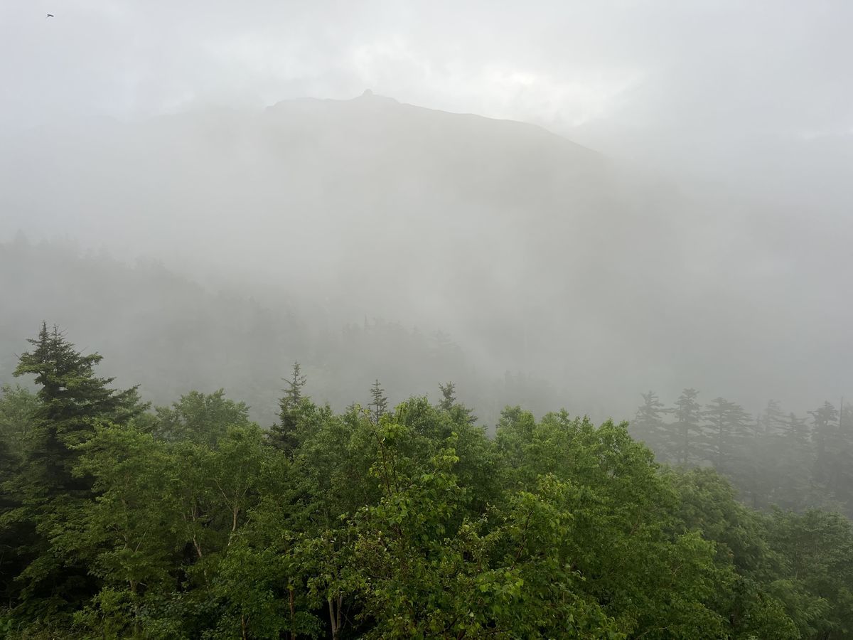 十勝岳温泉 湯元 凌雲閣 客室から 霧