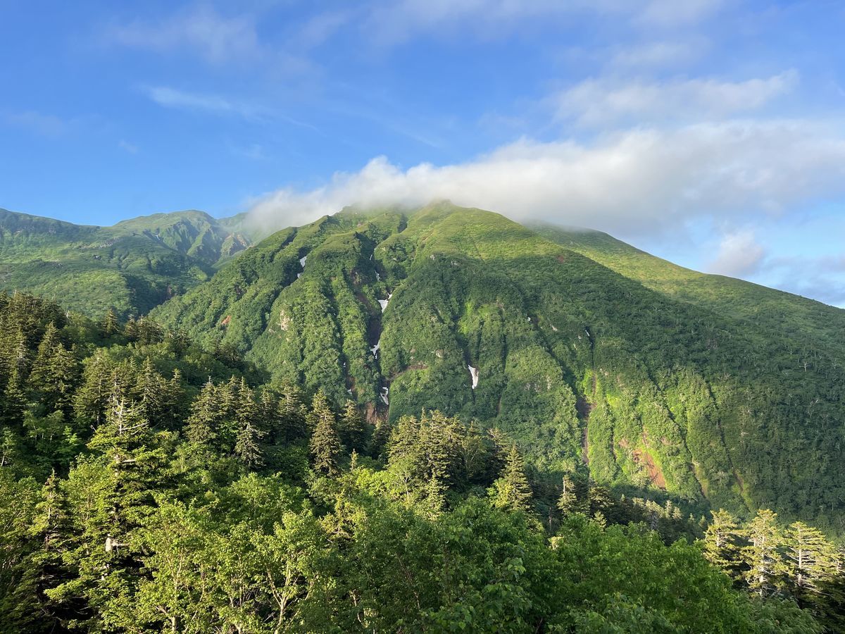 凌雲閣 大雪山 気持ちの良い朝 .jpeg