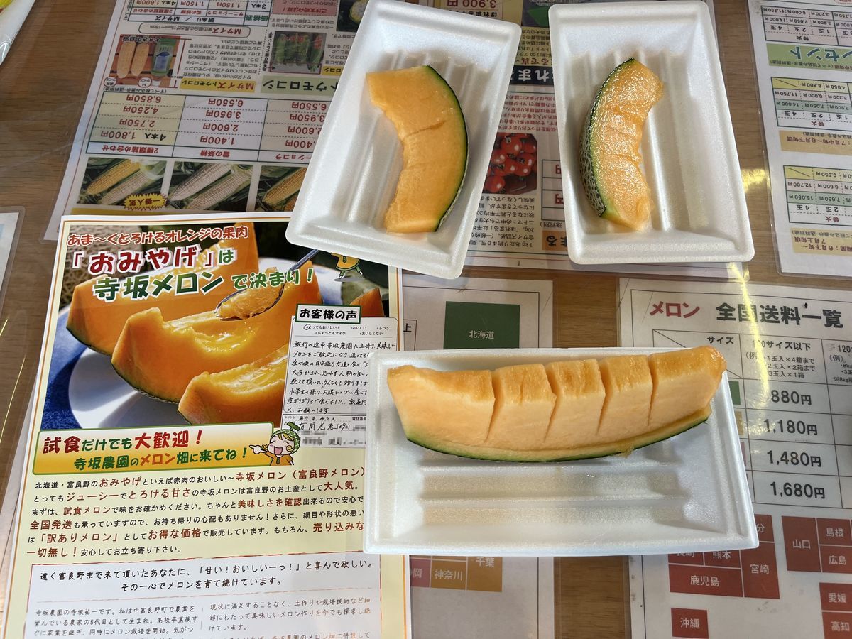 寺坂農園 メロン直売所 赤肉カットメロン 凌雲閣のチラシでプレゼント.jpeg