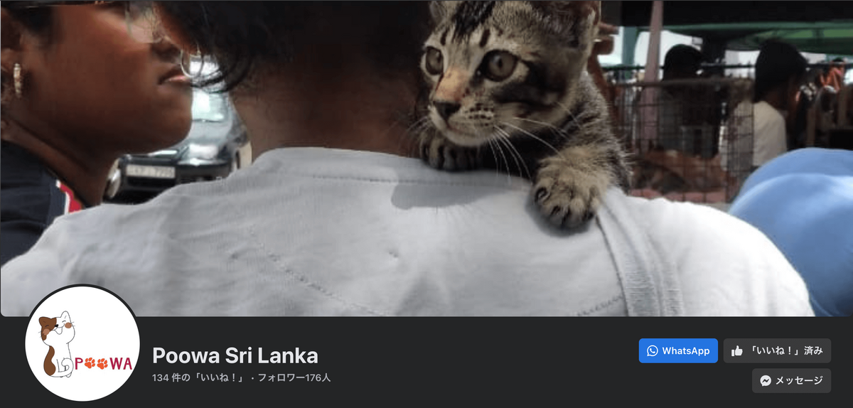 Poowa Sri Lanka 猫保護団体 Facebookアカウント