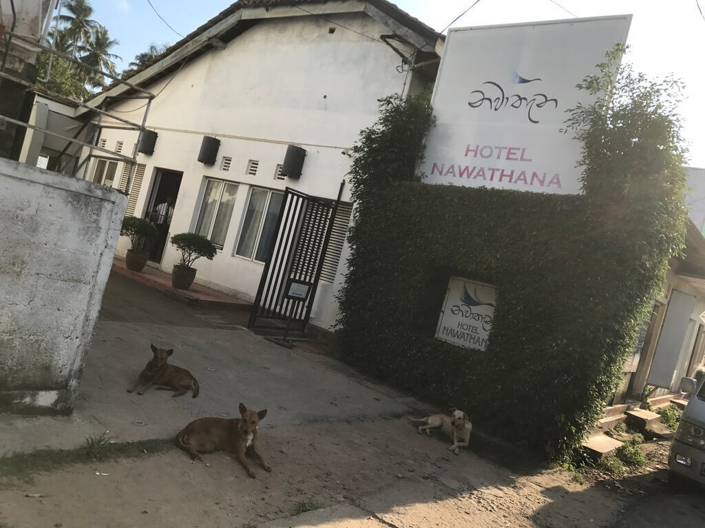 近くにある宿 Hotel Nawathana The Dutchman's Street（ダッチマンズストリート） Matara（マータラ） Cafe（カフェ）