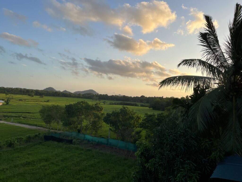 テラスから眺め 夕日 Mailagama Cinnamon Residence