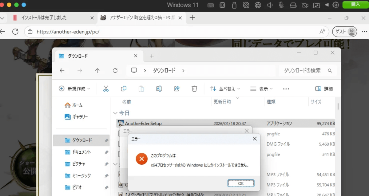Parallels でのx64エラー画面