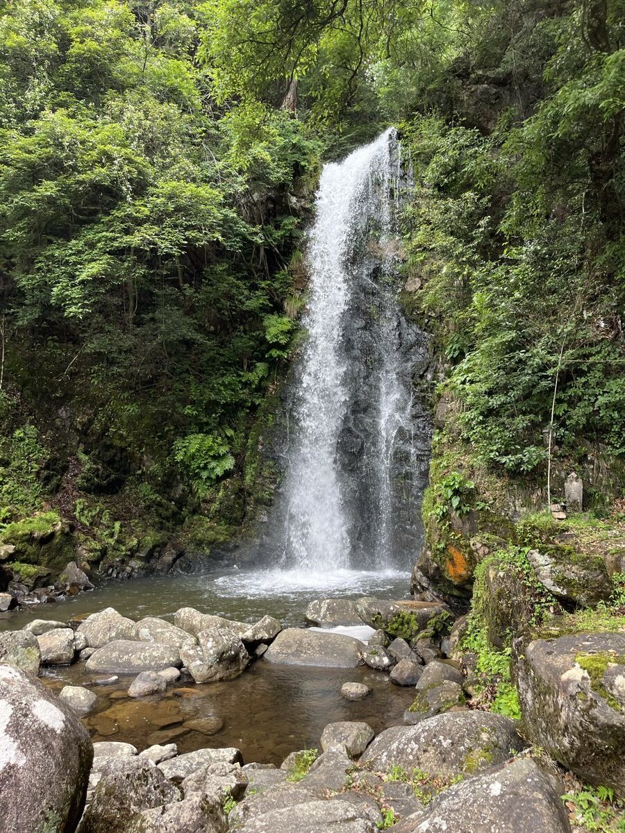 竜吟の滝（瑞浪市・新緑の中の滝全景）