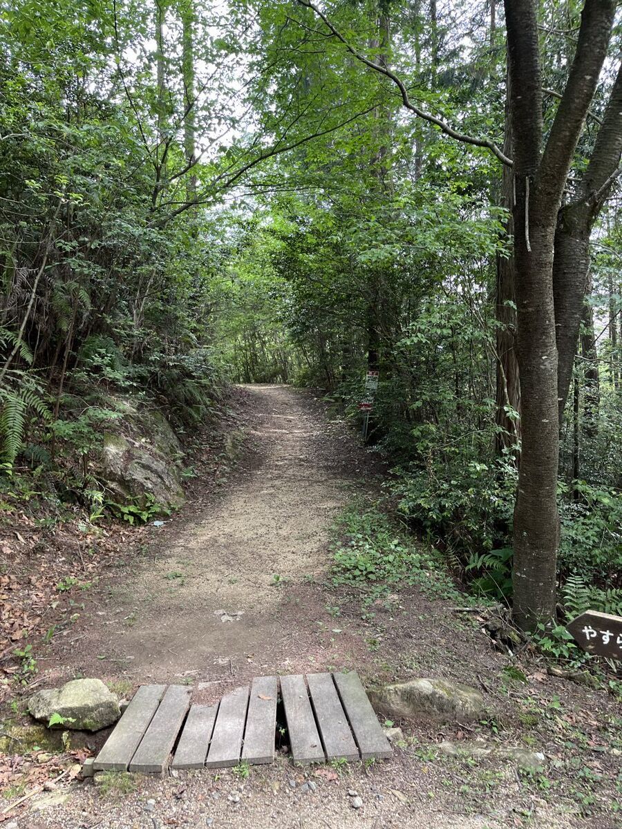 水晶山への登山道 新緑のトンネルと木橋