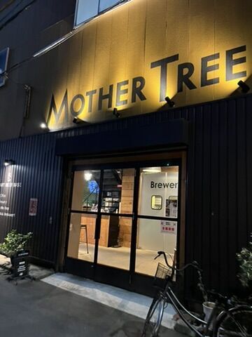 クラフトビアベース Mother Tree 外観 夜