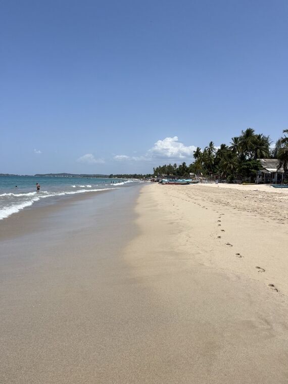 Uppuveli Beachの白砂とヤシの木