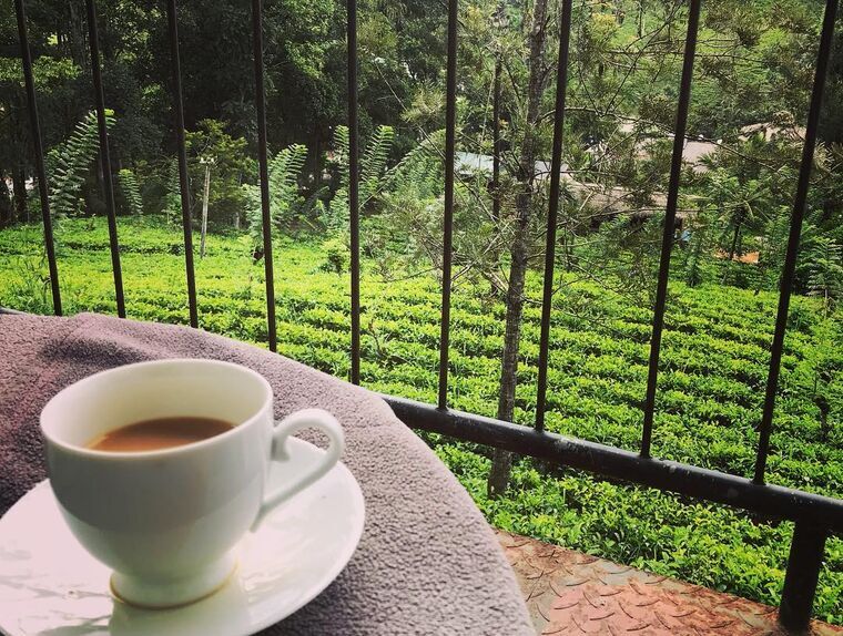 Ella Highest Innのバルコニーから紅茶畑を望む