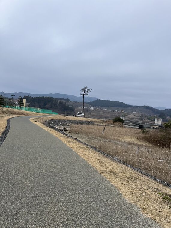 奇跡の一本松の遠景 陸前高田市高田松原
