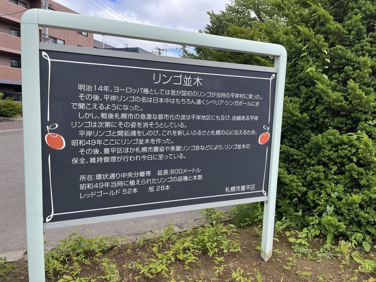 「リンゴ並木」 解説プレート(明治14年ヨーロッパ種=我が国初・戦後都市化で消失・昭和49年並木造成・環状通り中央分離帯延長800m・旭28本+レッドゴールド52本=計80本)