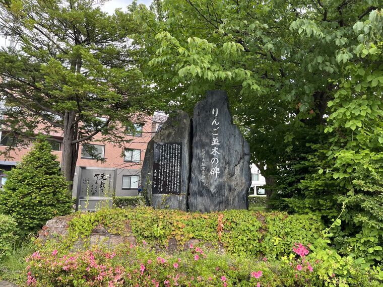 「りんご並木の碑」 黒石碑とピンクの花壇