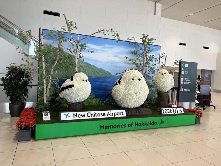 新千歳空港のシマエナガ花オブジェ「Memories of Hokkaido」