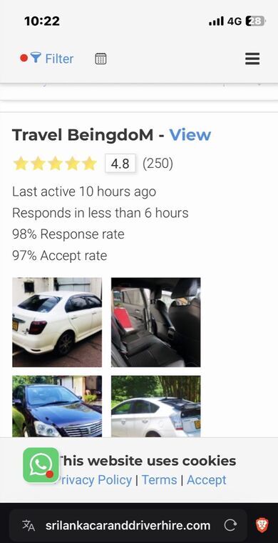 Sri Lanka Car &amp; Driver Hire サイト上のTravel BeingdoMの業者ページ (★4.8/250件のレビュー)